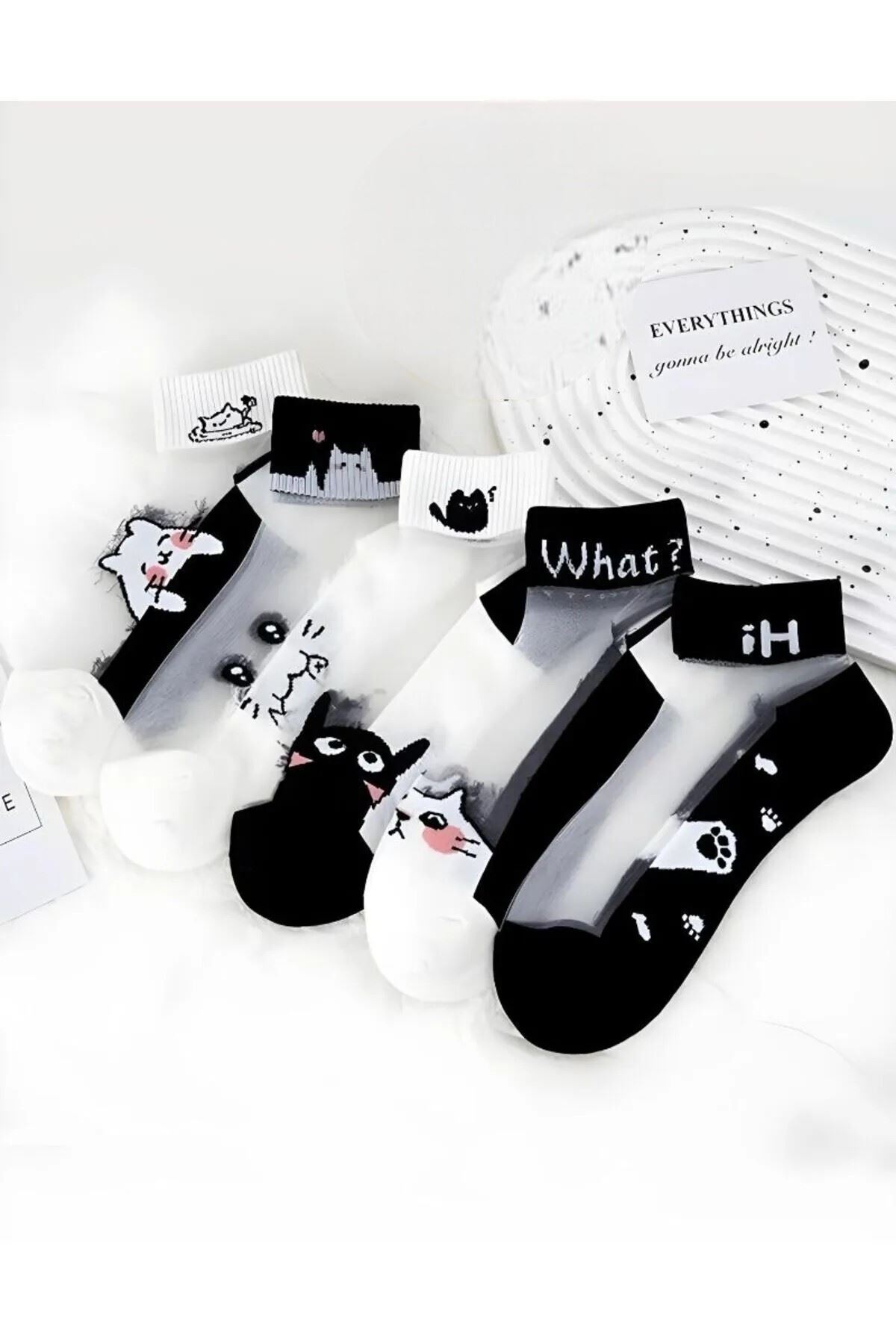 Kadın 5 Çift Karışık Kedi Desenli Tül Çorap Beyaz