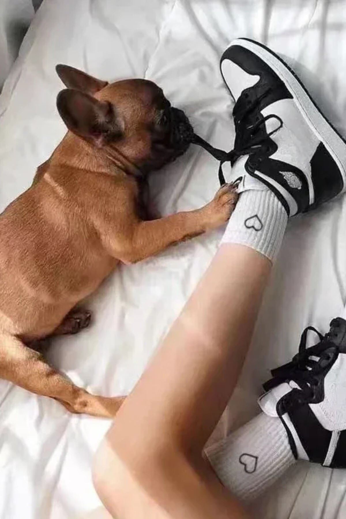 Kadın 6 Çift Premium Kalite Kalp Detaylı Tenis Çorap Siyah Beyaz Gri