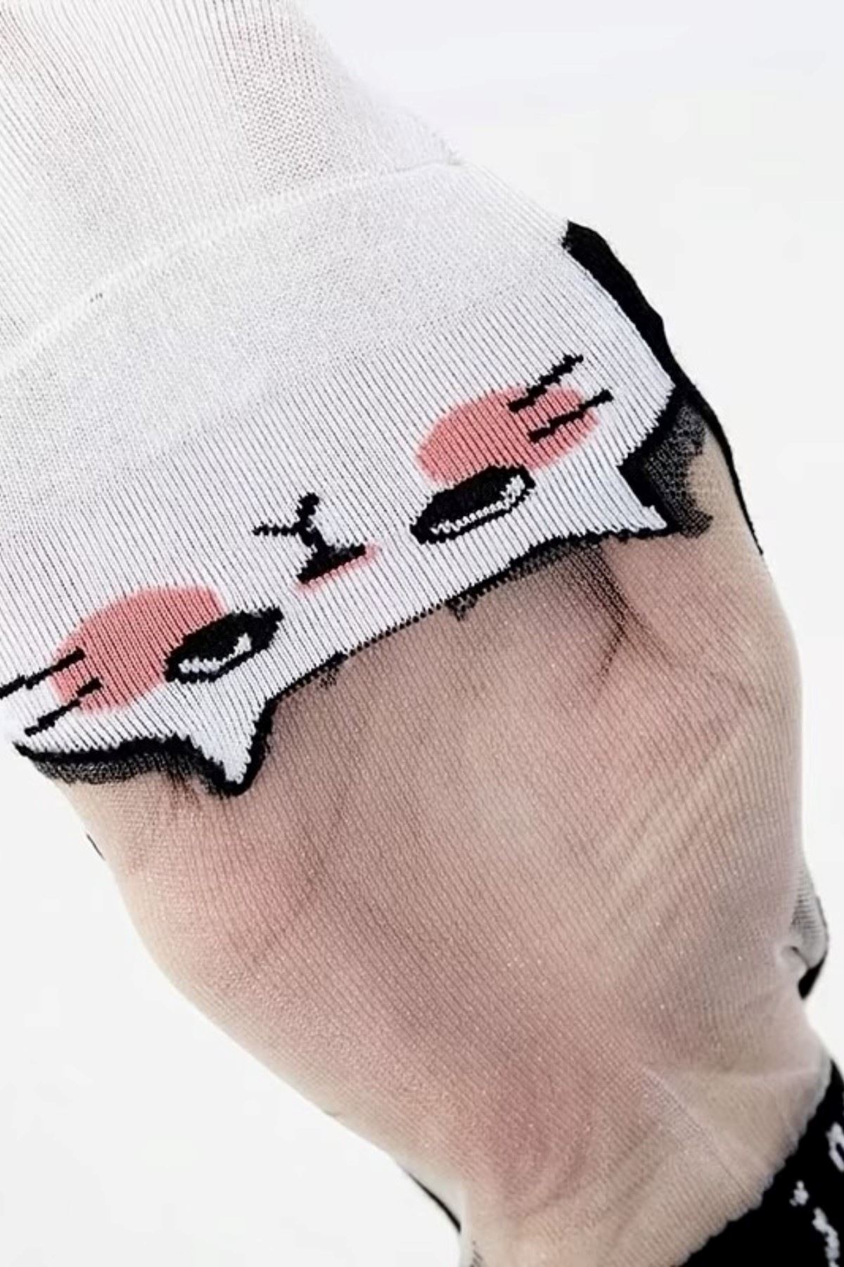 Hitit Socks Kadın 5 Çift Kedi Desenli Tül Çorap Siyah Beyaz