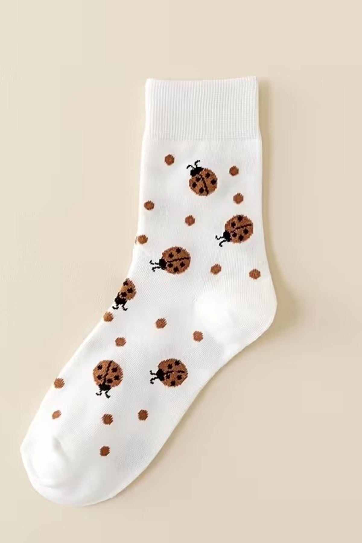 Hitit Socks Kadın 5 Çift Uğur Böceği Desenli Bahara Uygun Kısa Baldır Çorabı Beyaz Renkli