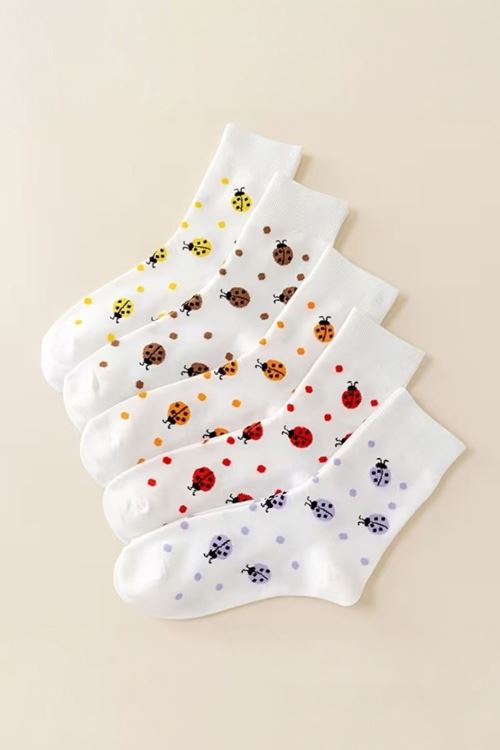 Hitit Socks Kadın 5 Çift Uğur Böceği Desenli Bahara Uygun Kısa Baldır Çorabı Beyaz Renkli